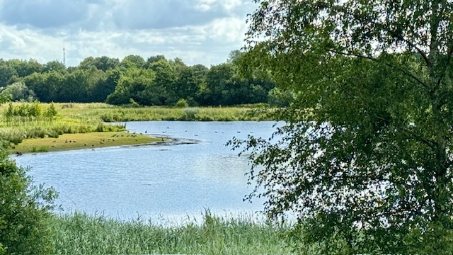 Waterplassen
