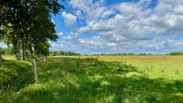 Rietlanden