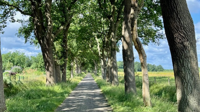 Mooie landweg