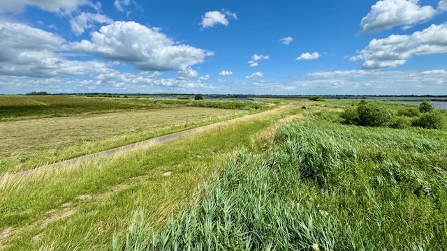 NO-uitzicht