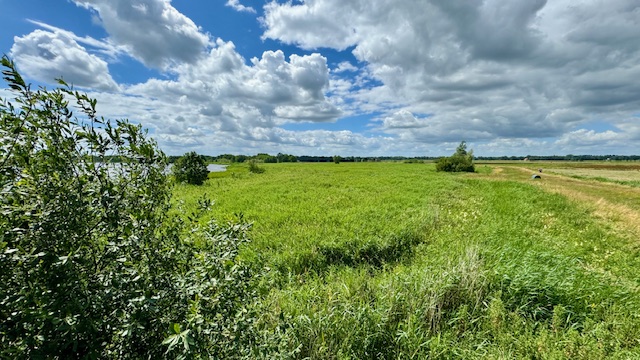 ZW-uitzicht