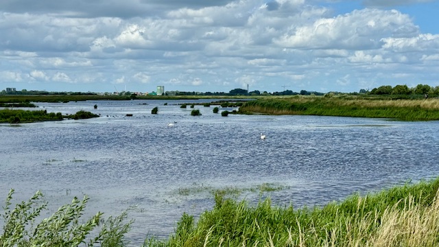 Schoonheid van de natuur