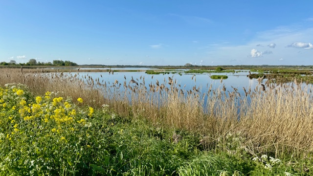 Een schitterend mooi weids blikveld
