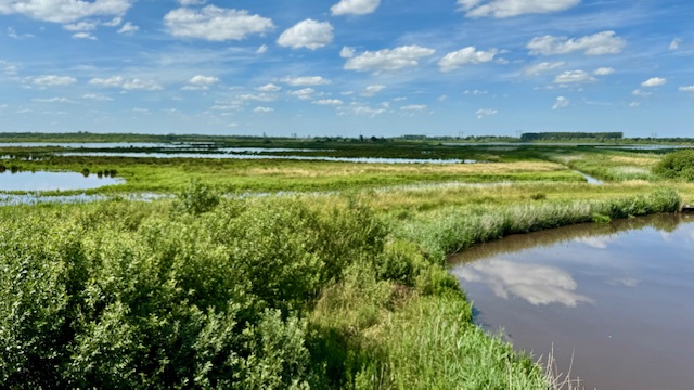 Uitzicht NW