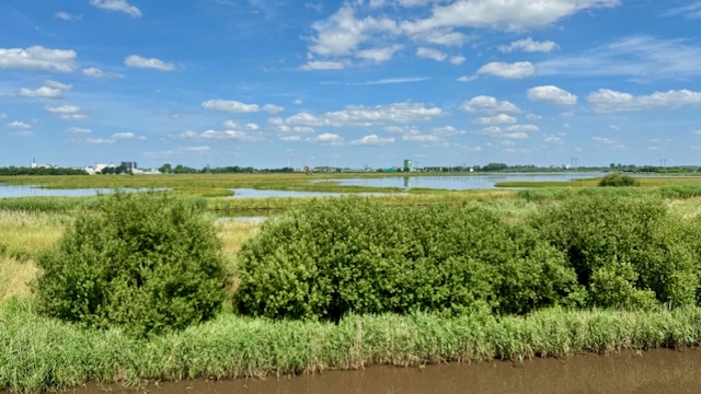 Uitzicht ZW