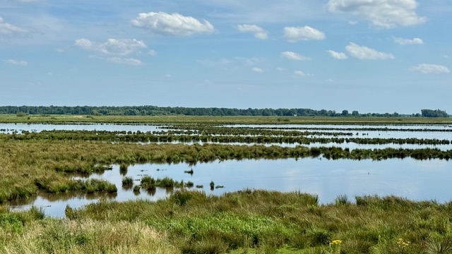 Uitzicht NW