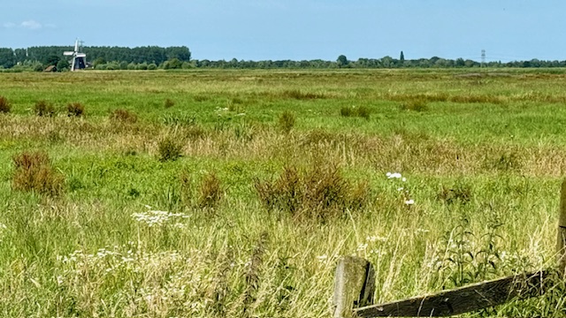 Molen De Biks