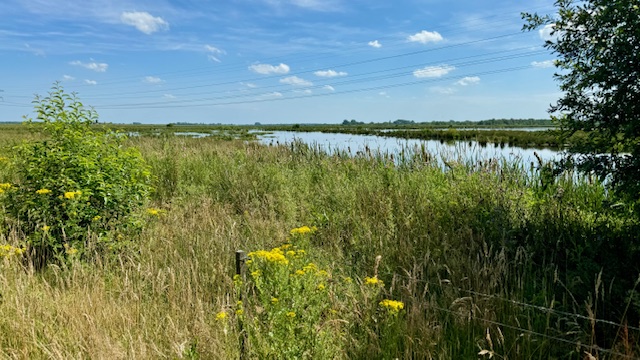 Uitzicht over het landschap