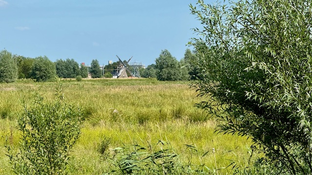 Korenmolen De Hoop