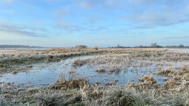 Verstild paradijs