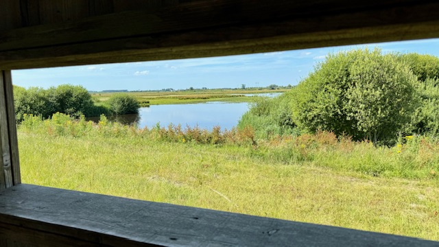 Uitzicht over de Kropswolderbuitenpolder